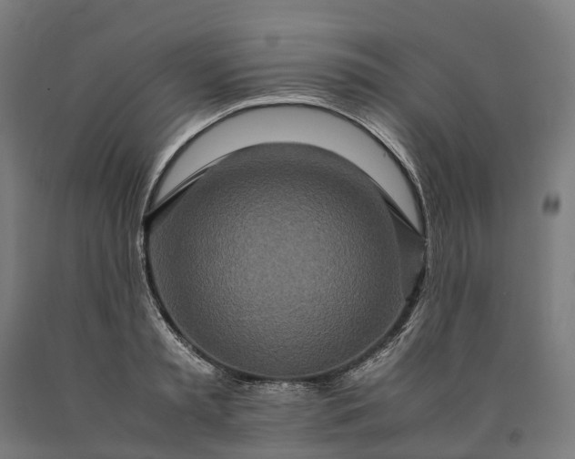 X0000090600797200707311200