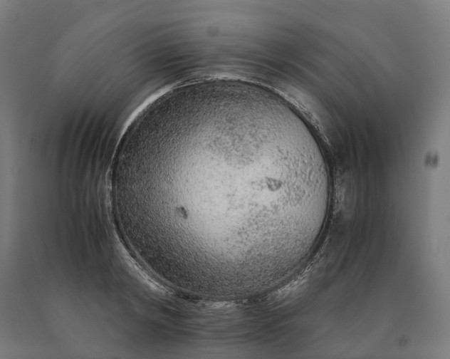 X0000090600798200707311200