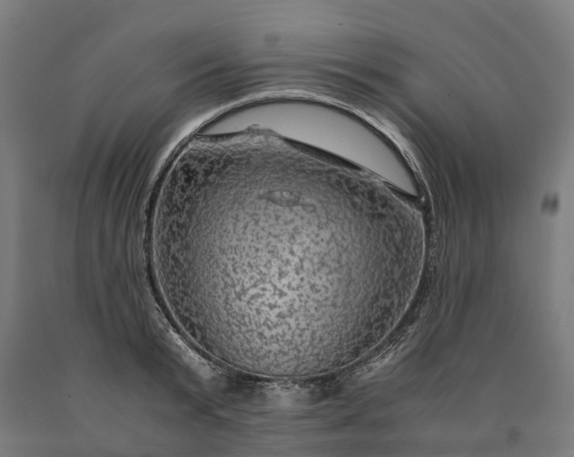 X0000090600799200707311200