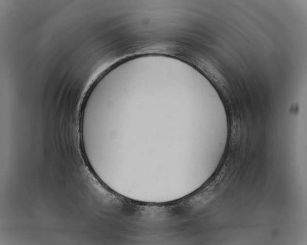 X0000090600800200707311200