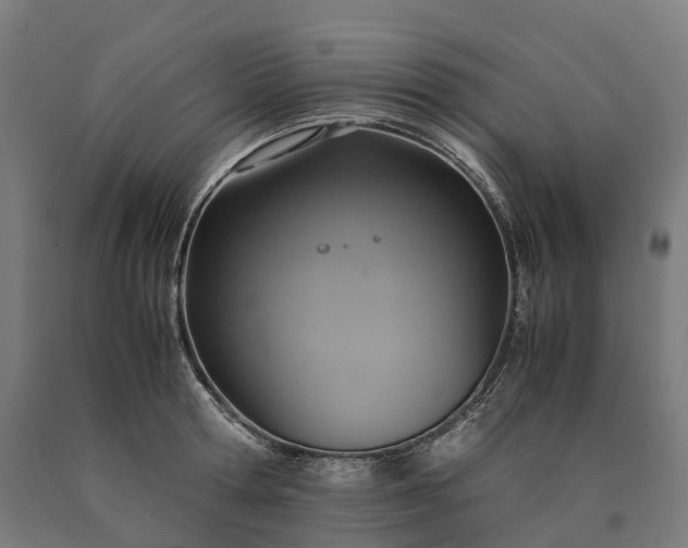 X0000090600802200707311200