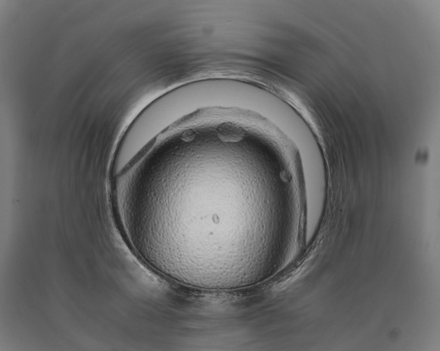 X0000090600803200707311200