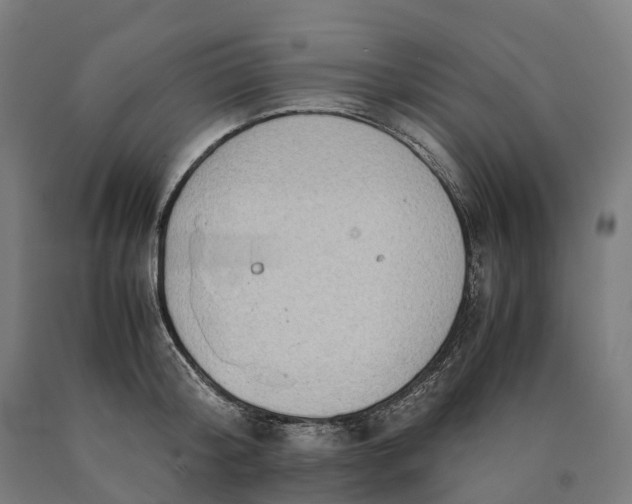 X0000090600804200707311200