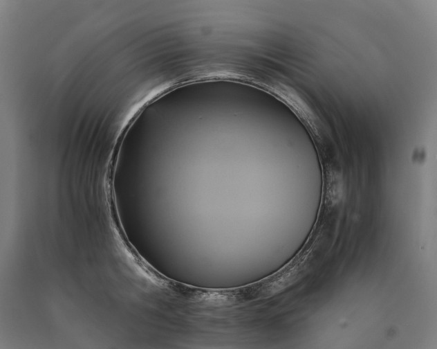 X0000090600806200707311200