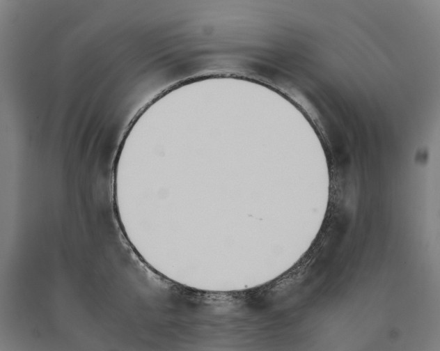 X0000090600807200707311200