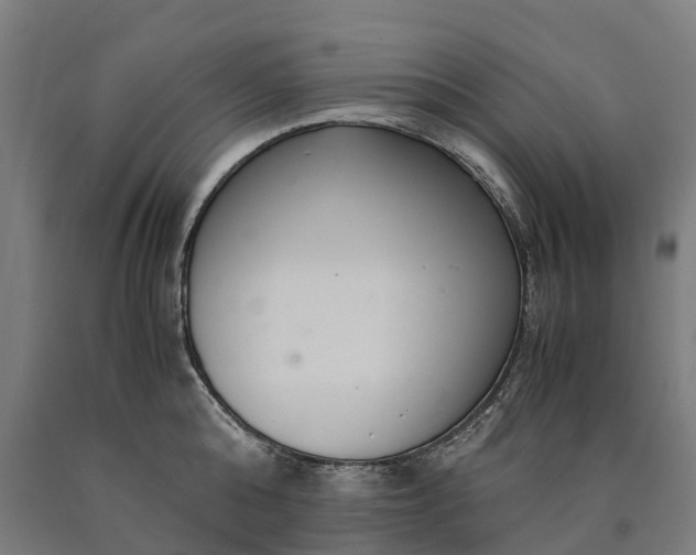 X0000090600808200707311200