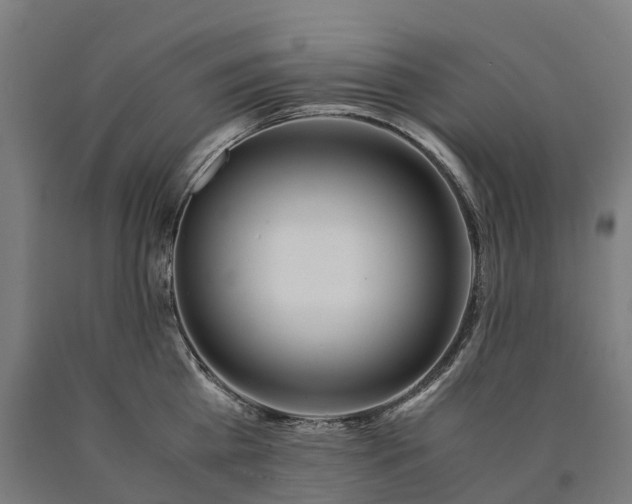 X0000090600809200707311200