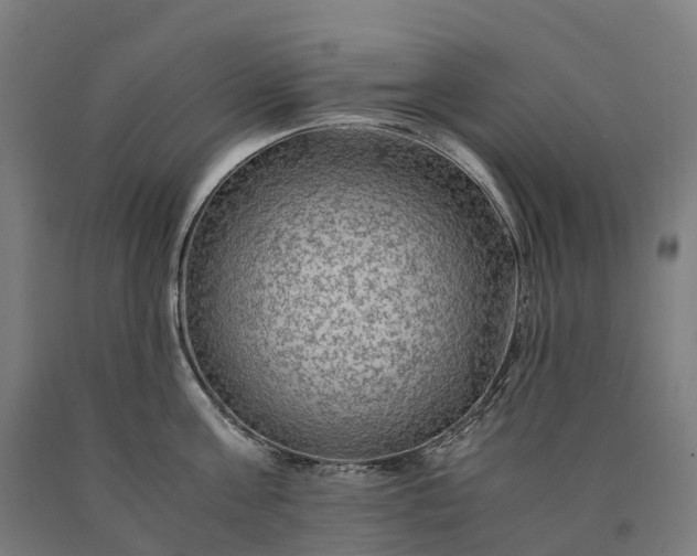 X0000090600811200707311200