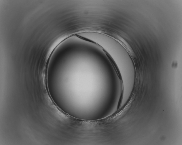 X0000090600812200707311200