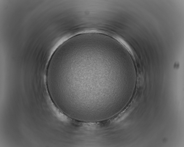 X0000090600813200707311200