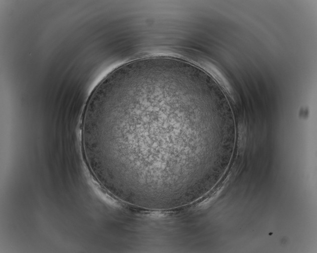 X0000090600814200707311200