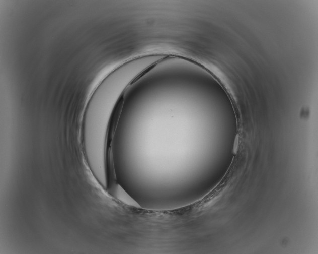 X0000090600815200707311200