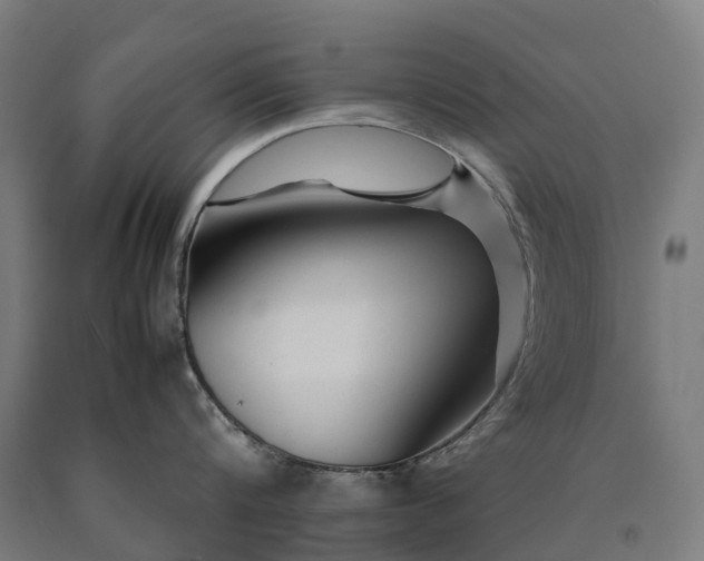 X0000090600816200707311200