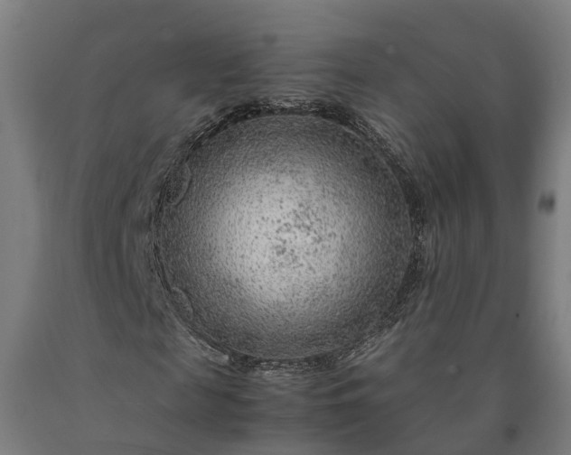 X0000090600817200707311159