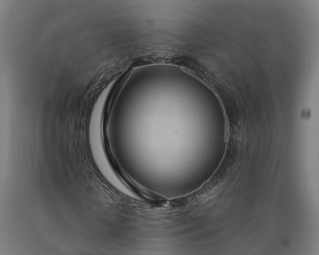 X0000090600818200707311200