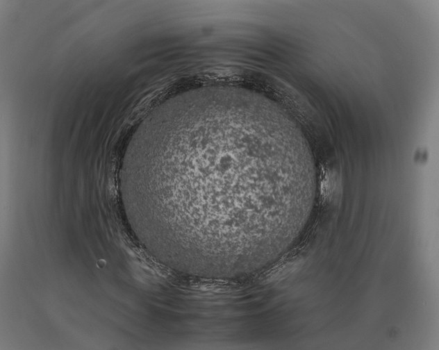 X0000090600819200707311200