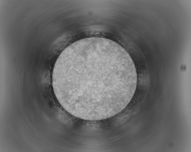 X0000090600820200707311200