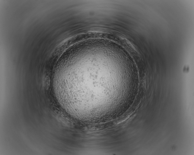 X0000090600821200707311200