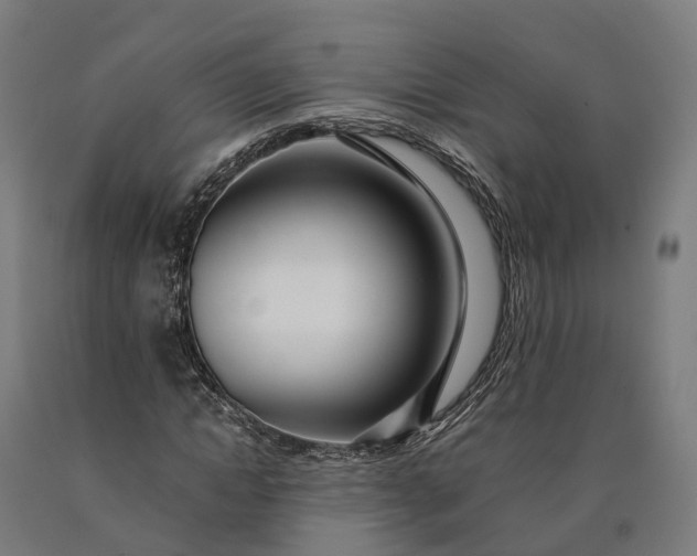 X0000090600822200707311200