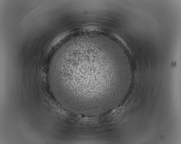 X0000090600823200707311200