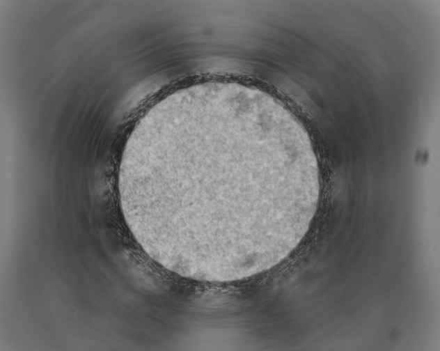 X0000090600824200707311200