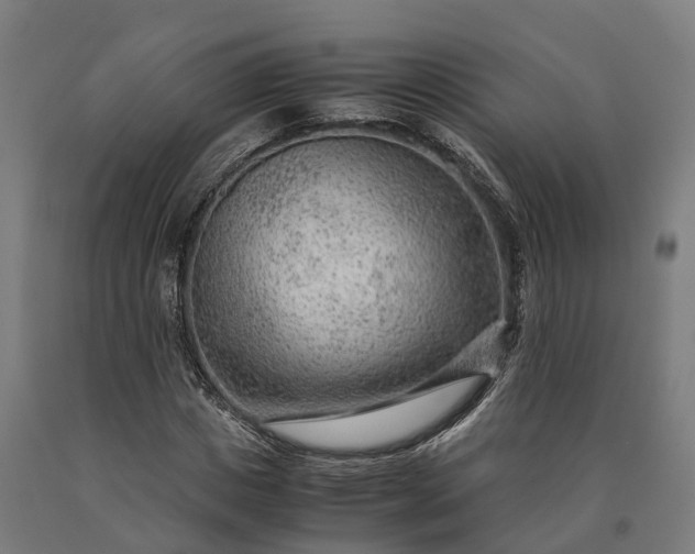 X0000090600825200707311200