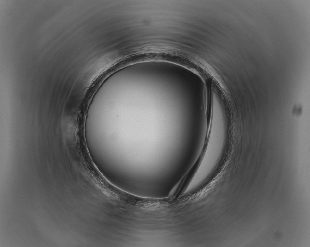 X0000090600826200707311200