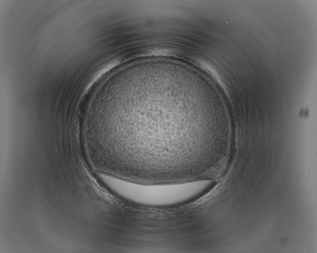 X0000090600827200707311200