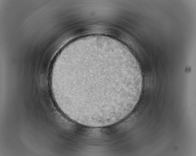 X0000090600828200707311200