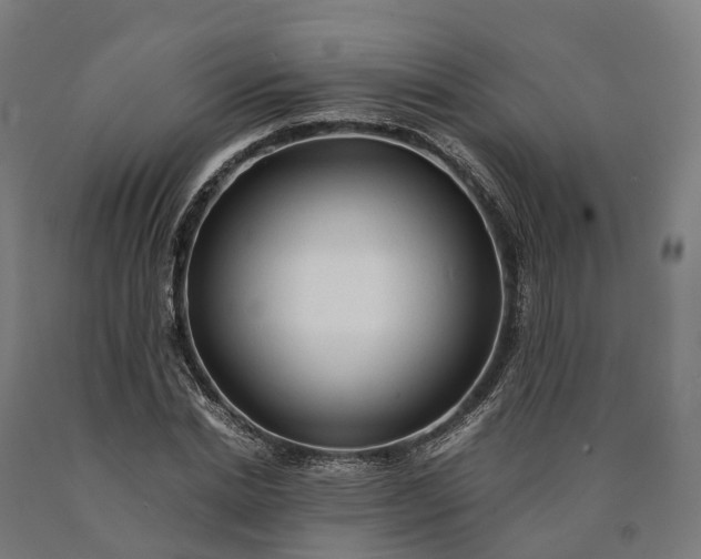 X0000090600830200707311200