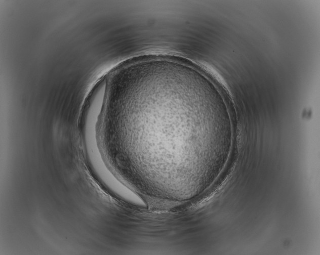 X0000090600831200707311200