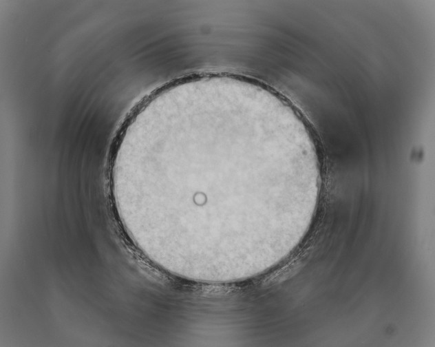 X0000090600832200707311200