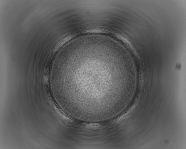 X0000090600833200707311200