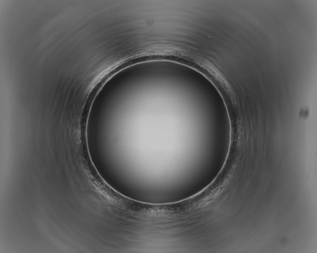 X0000090600834200707311200