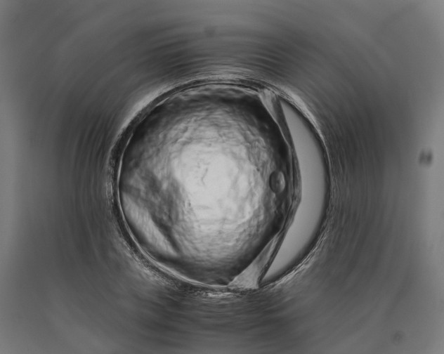 X0000090600835200707311200