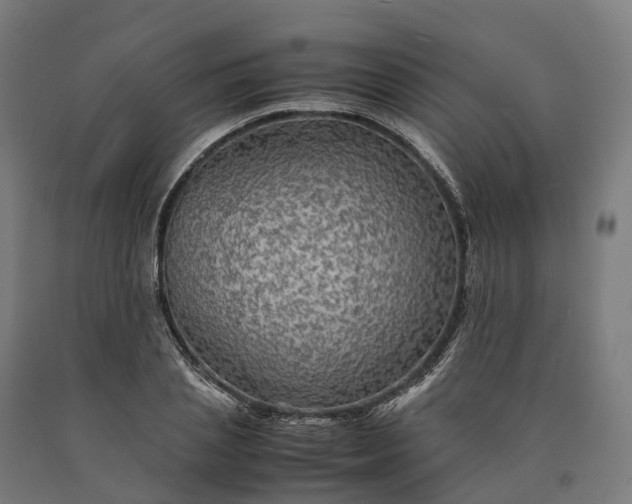 X0000090600837200707311200