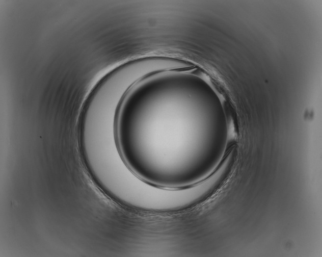 X0000090600838200707311200