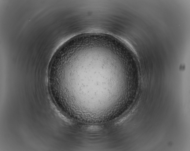 X0000090600839200707311200