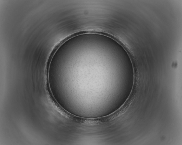 X0000090600840200707311200