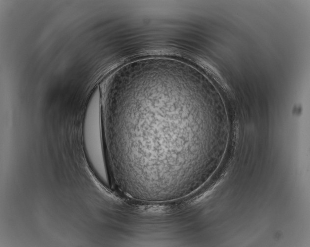 X0000090600841200707311200