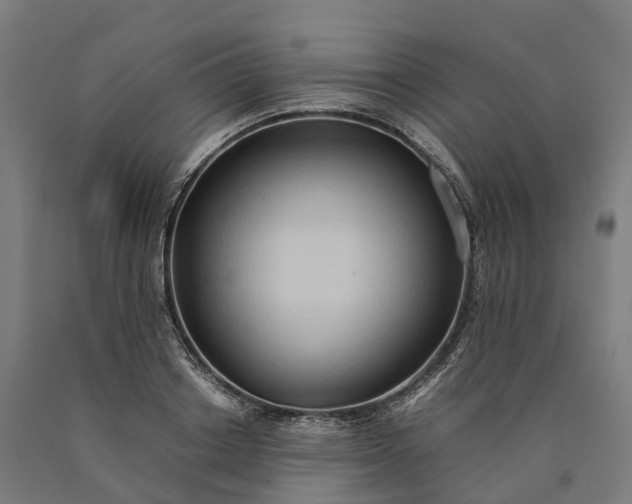 X0000090600842200707311200