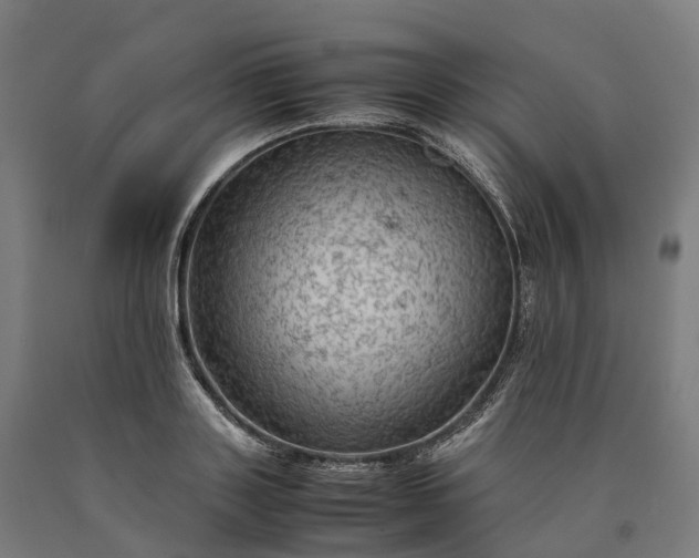 X0000090600843200707311200