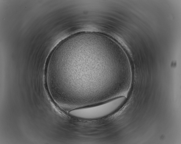 X0000090600845200707311200