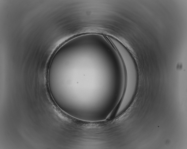 X0000090600846200707311200