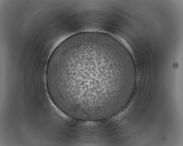 X0000090600847200707311200