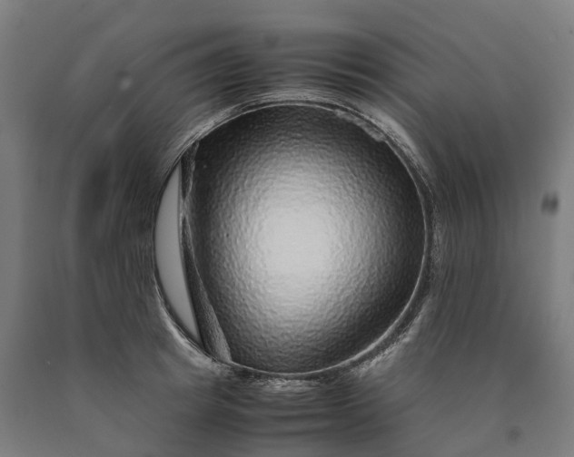 X0000090600849200707311200