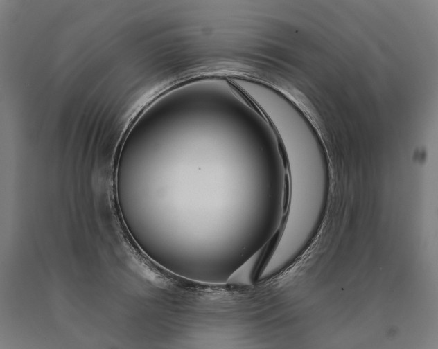 X0000090600850200707311200