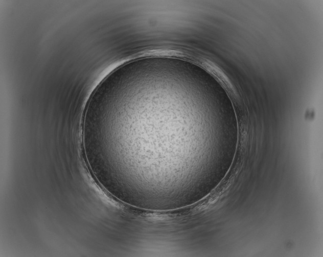 X0000090600852200707311200