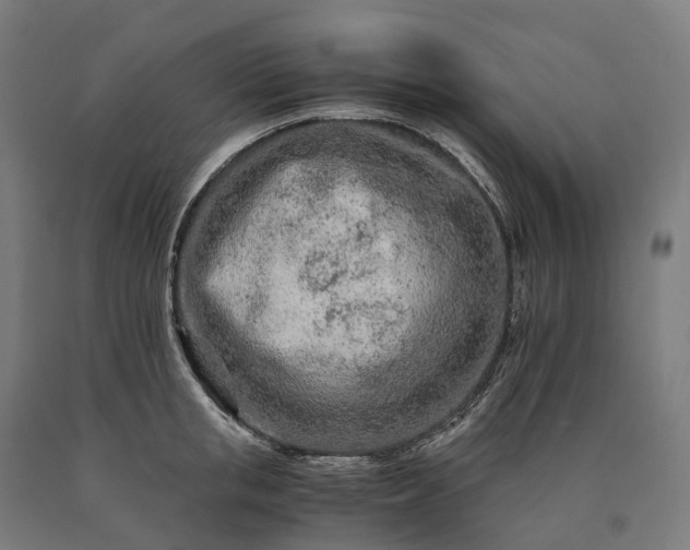 X0000090600853200707311200