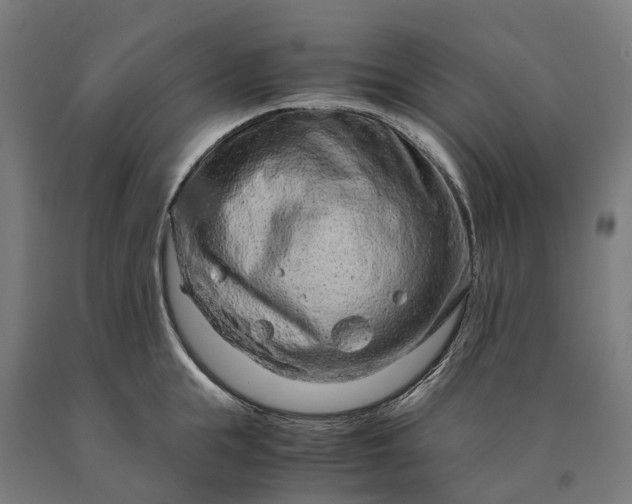 X0000090600855200707311200